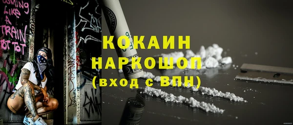 шишки Кукмор