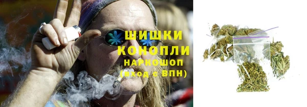 шишки Кукмор
