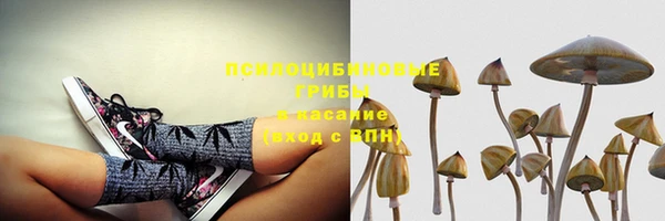 хмурый Куйбышев