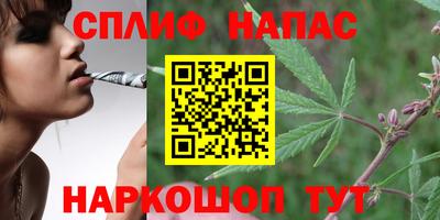СК Заводоуковск