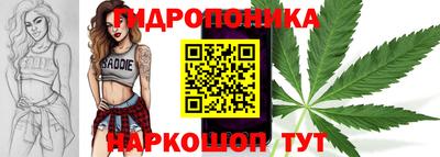 МДПВ Заволжье