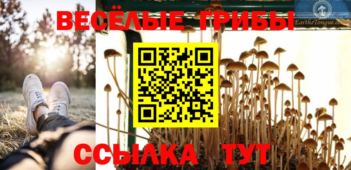 Галлюциногенные грибы Psilocybe Шумерля