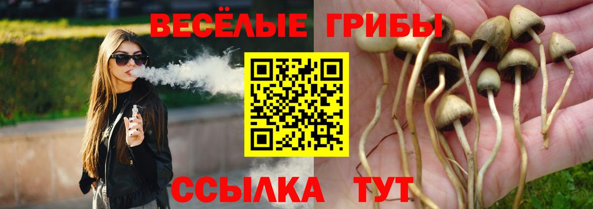 Шумерля  Галлюциногенные грибы прущие грибы  купить наркотик  Вход с VPN 